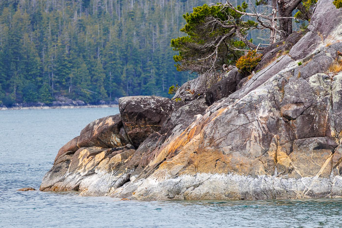 20250705-20250705-IMG_3829.jpg 20250705-20250705-IMG_3829.jpg