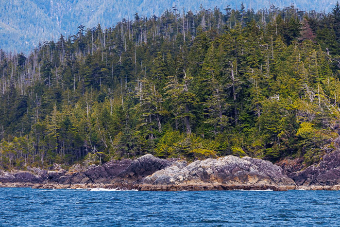 20250705-20250705-IMG_3902.jpg 20250705-20250705-IMG_3902.jpg