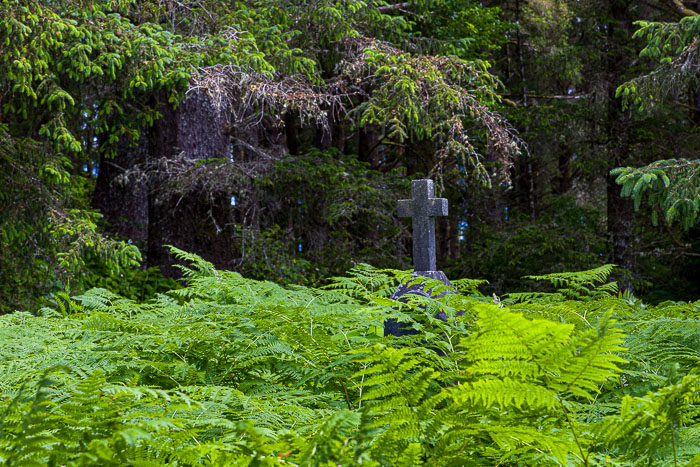 20250705-20250705-_MG_6794.jpg 20250705-20250705-_MG_6794.jpg