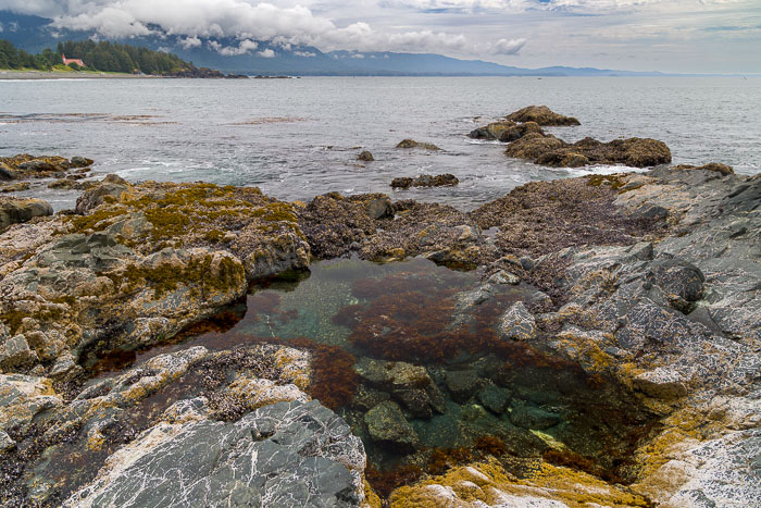 20250705-20250705-_MG_6808.jpg 20250705-20250705-_MG_6808.jpg