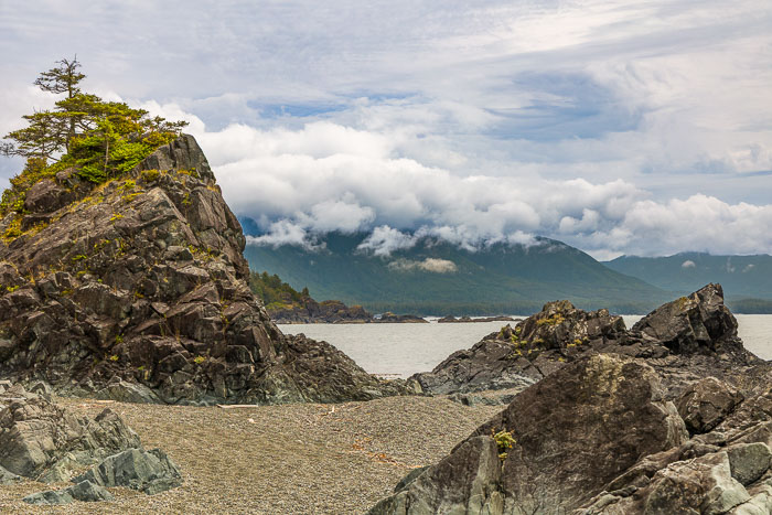 20250705-20250705-_MG_6815.jpg 20250705-20250705-_MG_6815.jpg