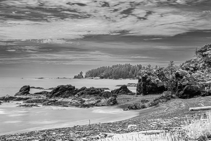 20250705-20250705-_MG_6819.jpg 20250705-20250705-_MG_6819.jpg