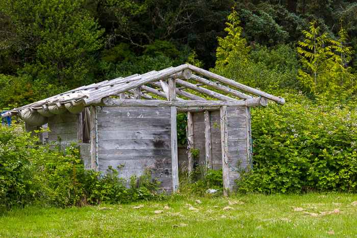 20250705-20250705-_MG_6825.jpg 20250705-20250705-_MG_6825.jpg