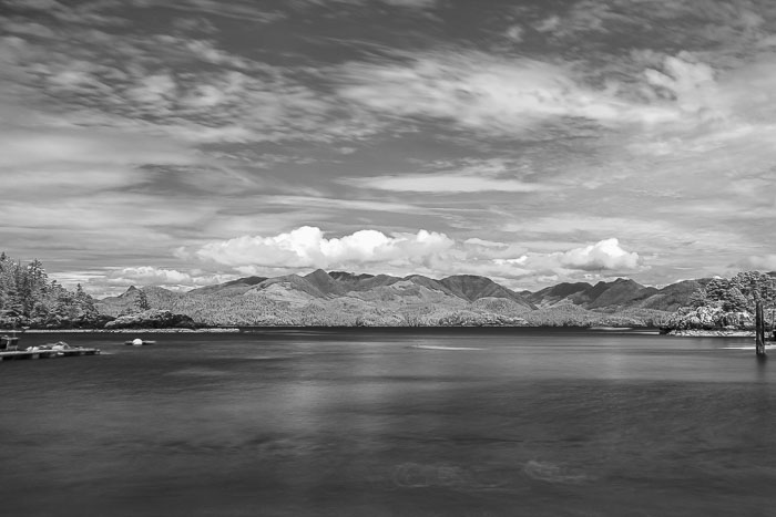 20250705-20250705-_MG_6842.jpg 20250705-20250705-_MG_6842.jpg