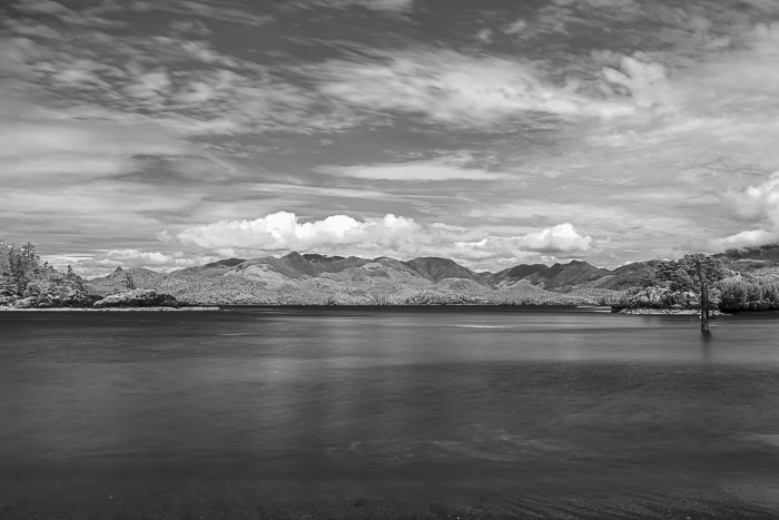 20250705-20250705-_MG_6843.jpg 20250705-20250705-_MG_6843.jpg