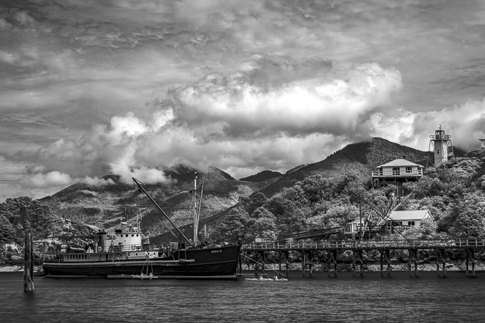 20250705-20250705-_MG_6852.jpg 20250705-20250705-_MG_6852.jpg