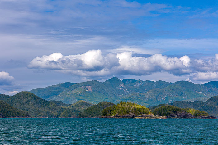 20250705-20250705-_MG_6893.jpg 20250705-20250705-_MG_6893.jpg