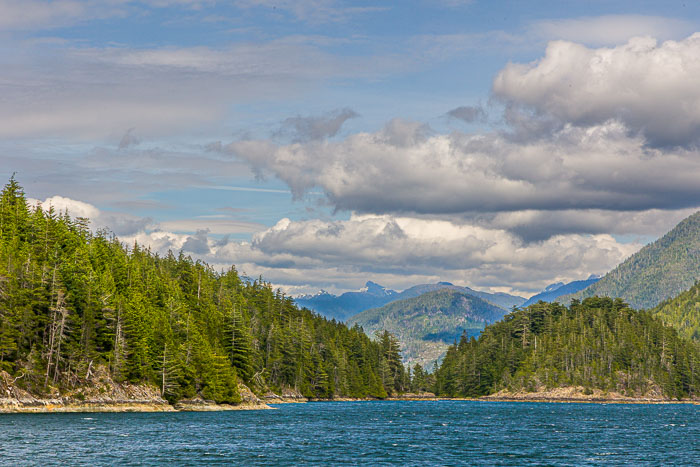 20250705-20250705-_MG_6931.jpg 20250705-20250705-_MG_6931.jpg