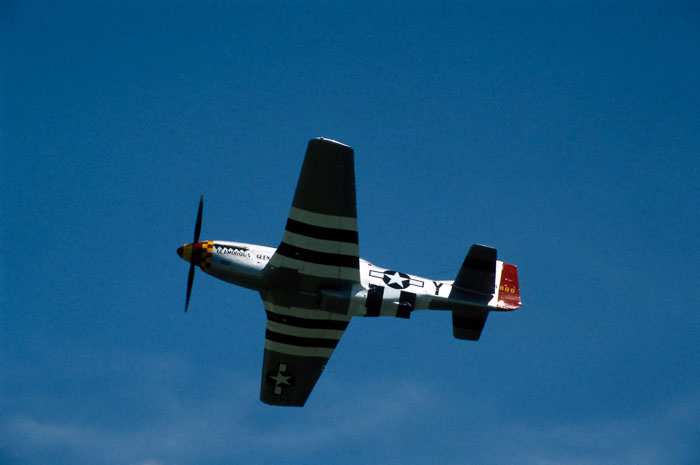 p51.jpg