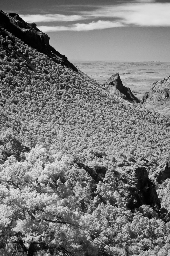 Big Bend National PArk 20090214-IMG_4307.jpg