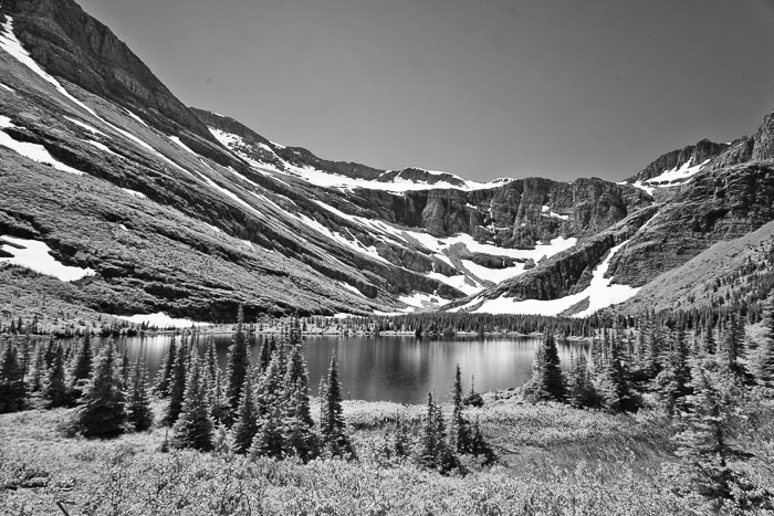 Swiftcurrent Pass Trail 20110718-IMG_9713.jpg