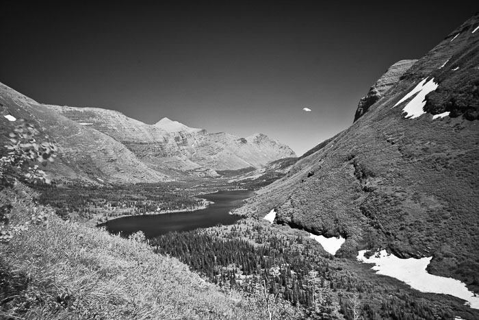 Swiftcurrent Pass Trail 20110718-IMG_9740.jpg