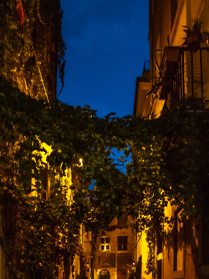 Vine Alley 20120926-IMG_1284.jpg