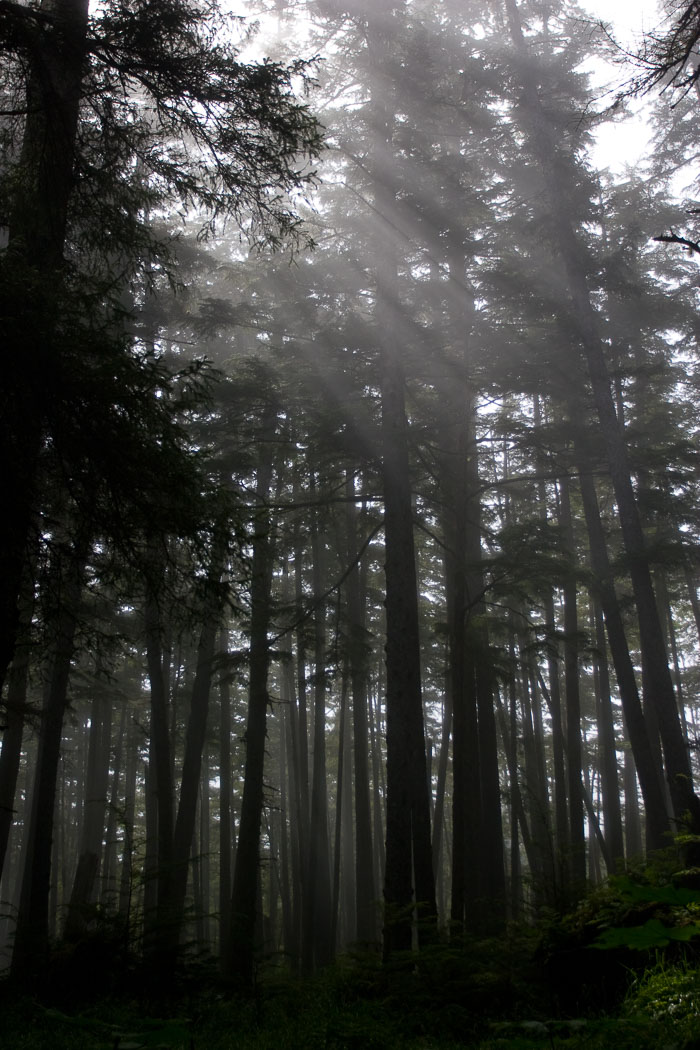 Coastal Southeast Alaska - Petersburg area