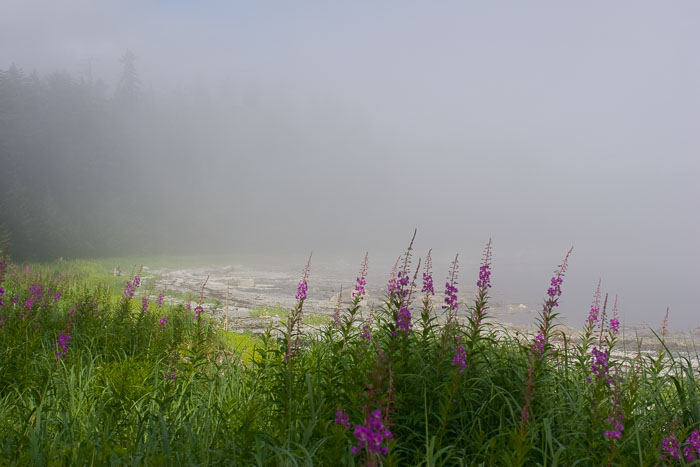 Coastal Southeast Alaska - Petersburg area