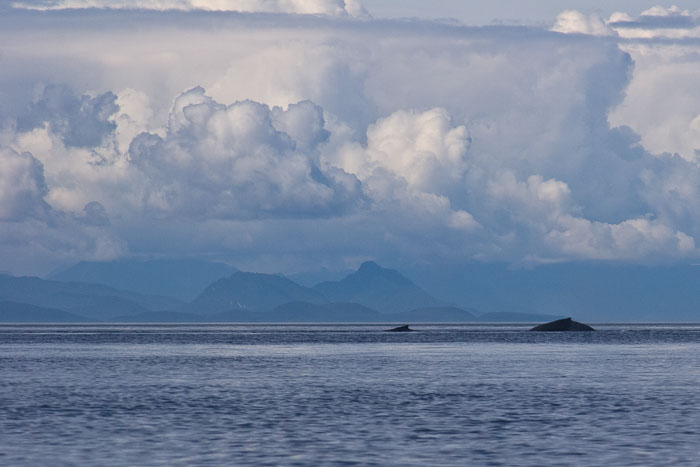 Coastal Southeast Alaska - Petersburg area