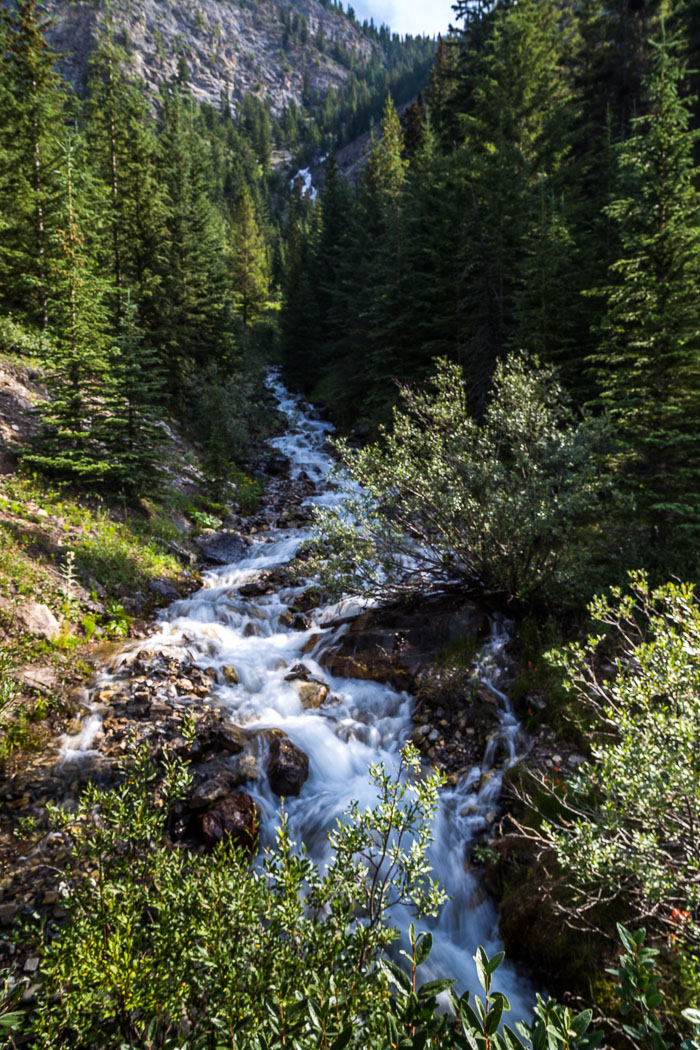 Along the Icefields Parkway - Banff Section Along the Icefields Parkway - Banff Section