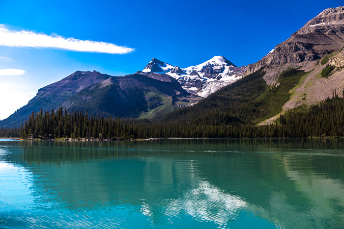 Maligne Lake Area Maligne Lake Area