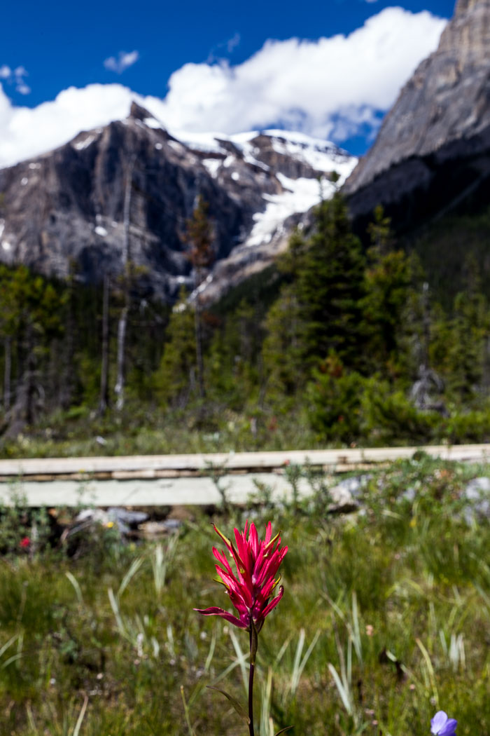Yoho National Park Yoho National Park