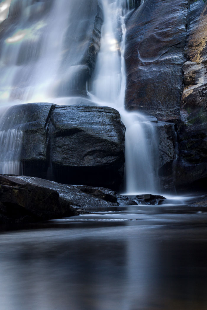 DuPont State Forest