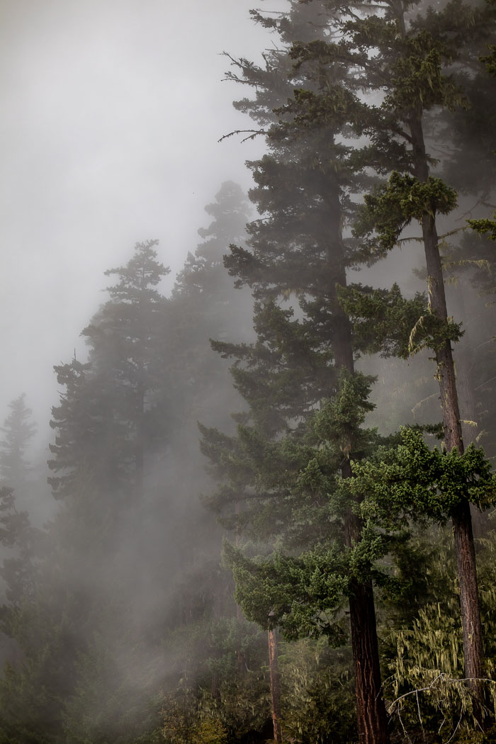 Olympic National Park