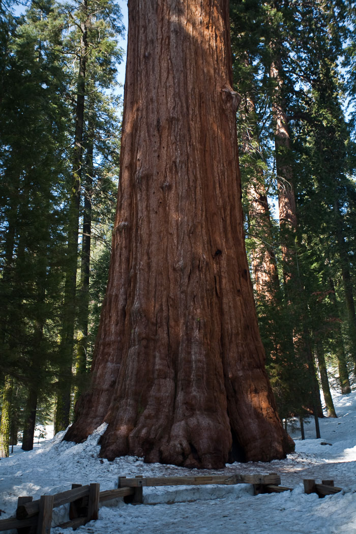 Sequoia-Kings Canyon