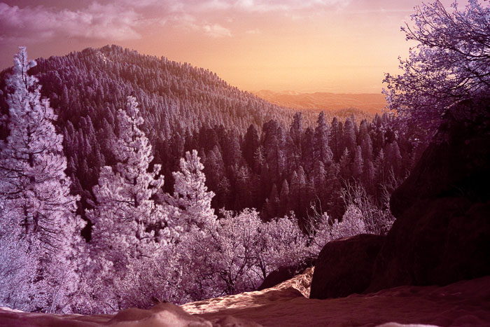 Sequoia-Kings Canyon
