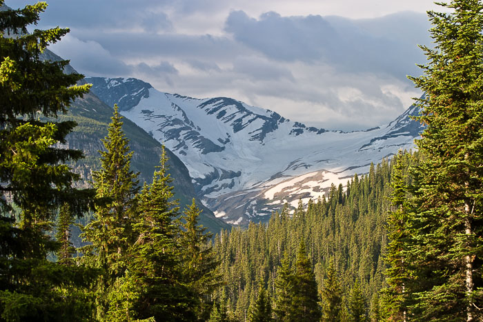 Going To The Sun Rd and Logan Pass