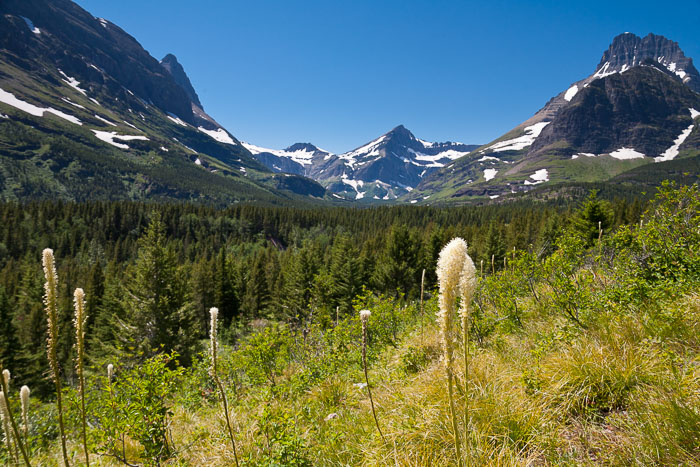 Many Glacier