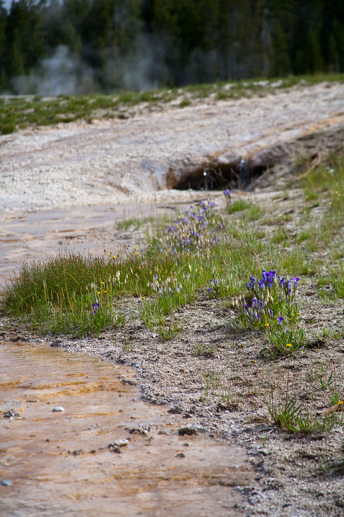 Yellowstone Hydrothermal Features Yellowstone Hydrothermal Features