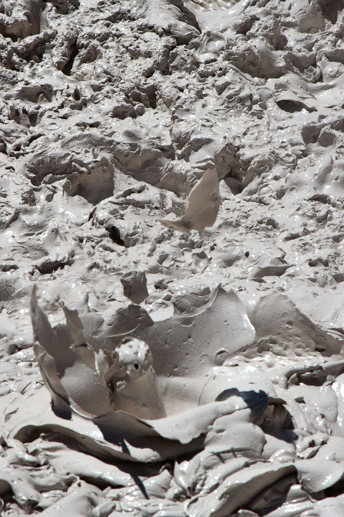 Yellowstone Mudpots Yellowstone Mudpots