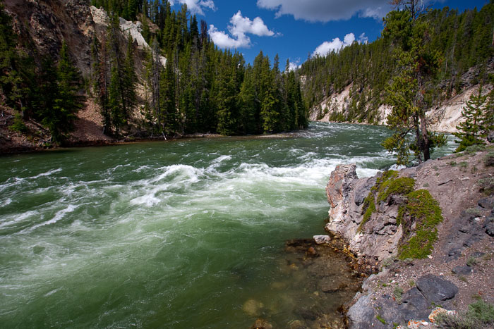 Yellowstone Scenics Yellowstone Scenics