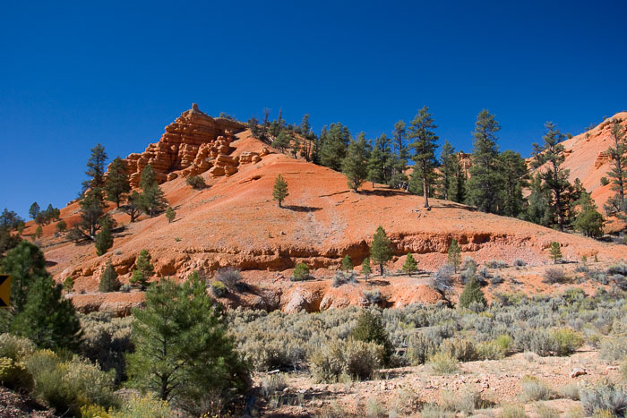 Capitol Reef National Park