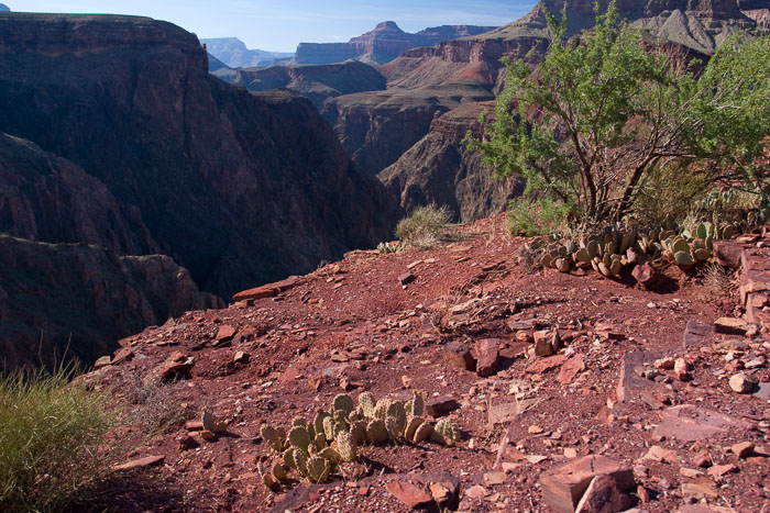 Grand Canyon National Park