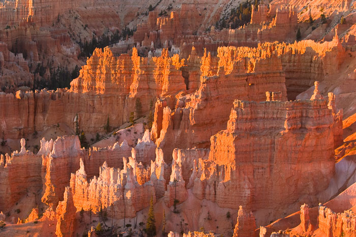 National Parks, Monuments, and Forests National Parks, Monuments, and Forests