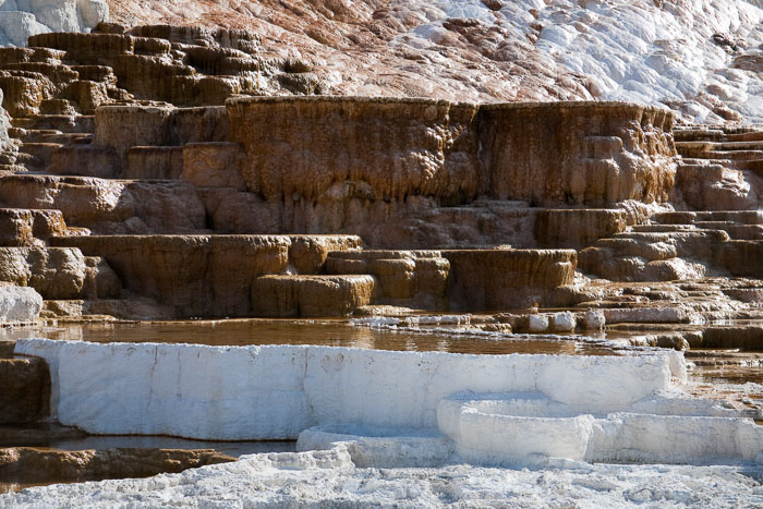 National Parks, Monuments, and Forests National Parks, Monuments, and Forests