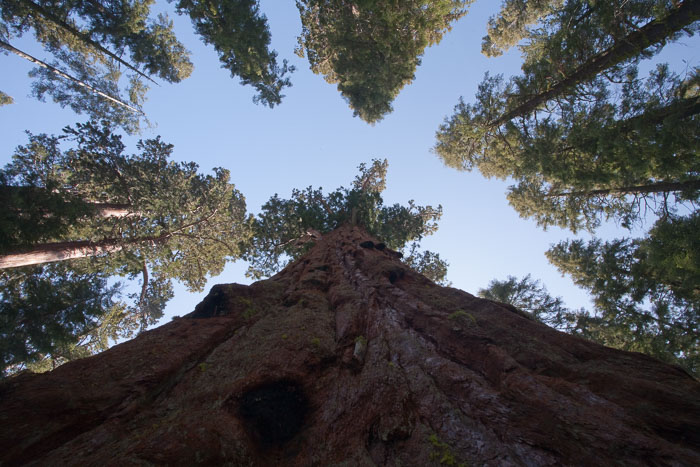 National Parks, Monuments, and Forests National Parks, Monuments, and Forests