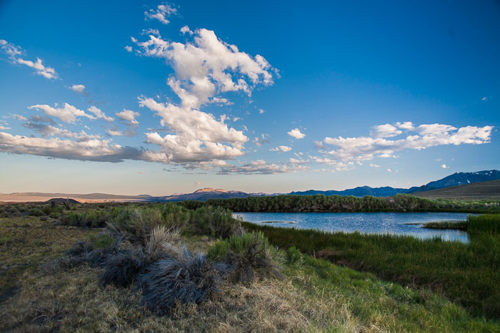 Mono Lake Area