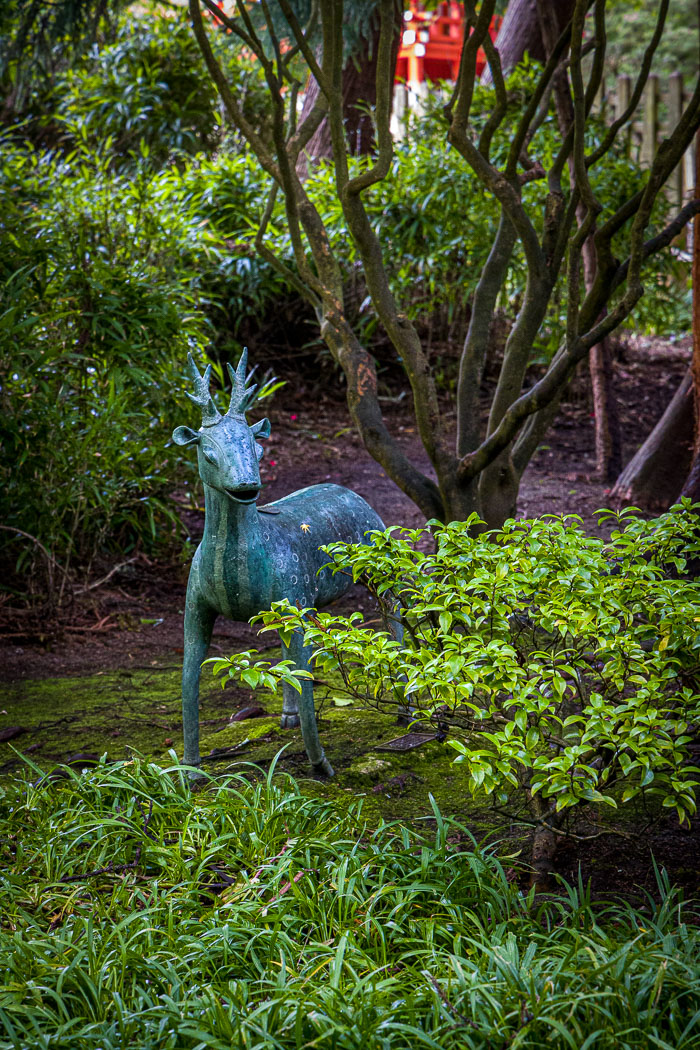 Japanese Tea Garden - Golden Gate Park Japanese Tea Garden - Golden Gate Park