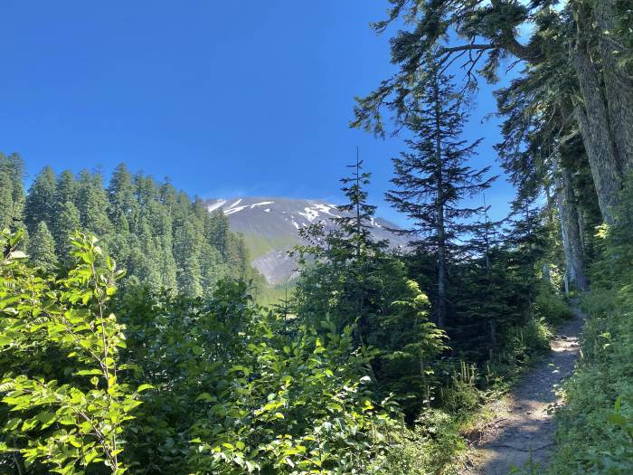 Mt. St. Helens Mt. St. Helens