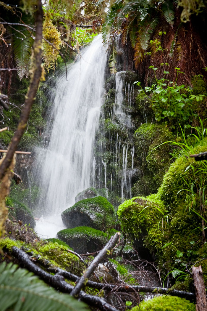 Silver Falls State Park Silver Falls State Park