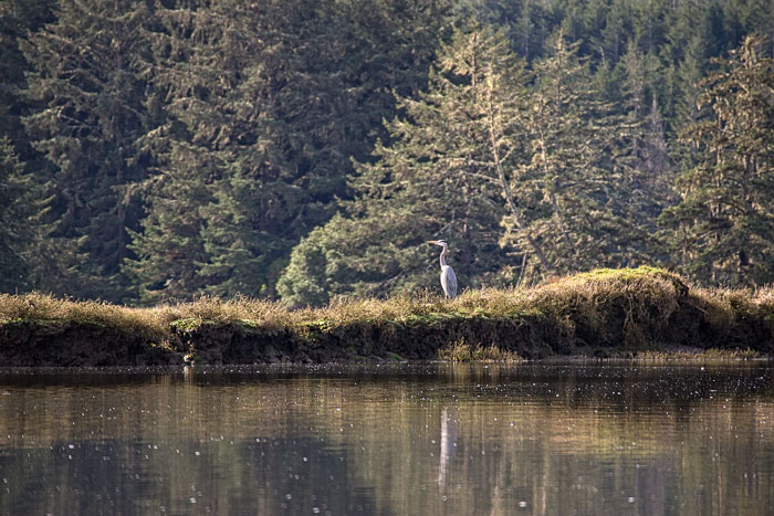 Coos Bay Area Sloughs