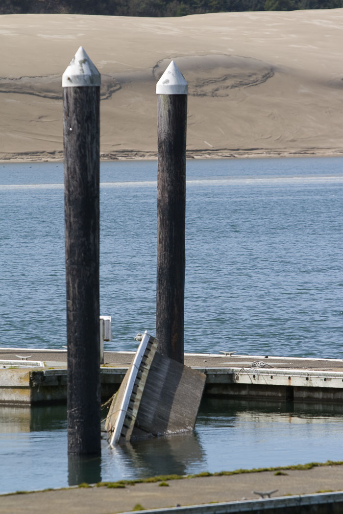 Coos Bay Area Sloughs