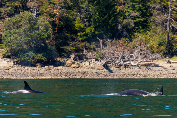 San Juan Islands