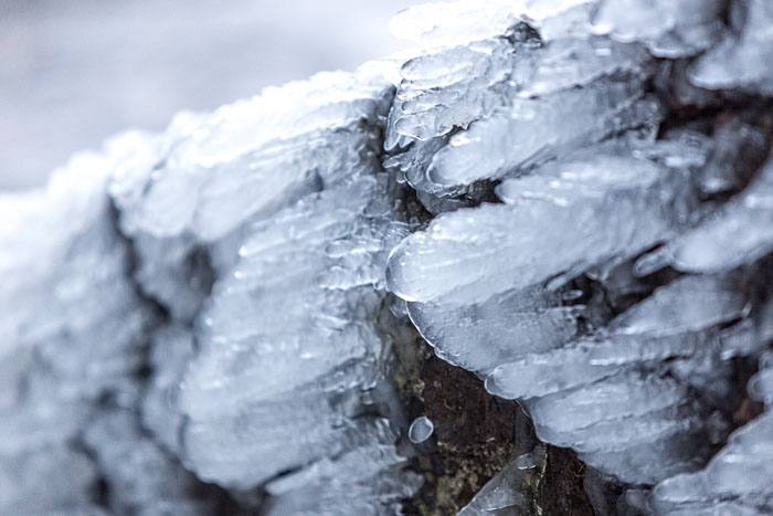 Chasing Ice Chasing Ice