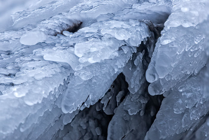 Chasing Ice Chasing Ice