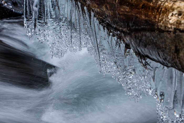 Chasing Ice Chasing Ice