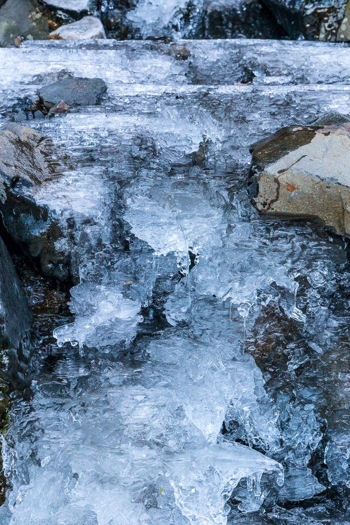 Chasing Ice Chasing Ice