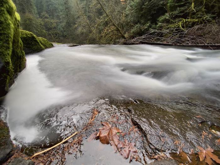 Lacamas Lake Regional Park