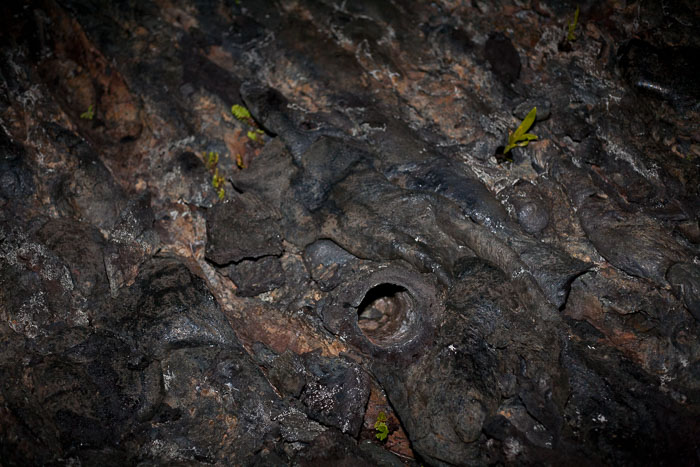 Hawaii Lava Hawaii Lava